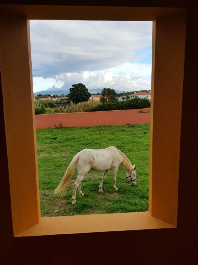 Quinta Da Falesia - Casa Amarela Ponta Delgada Zewnętrze zdjęcie