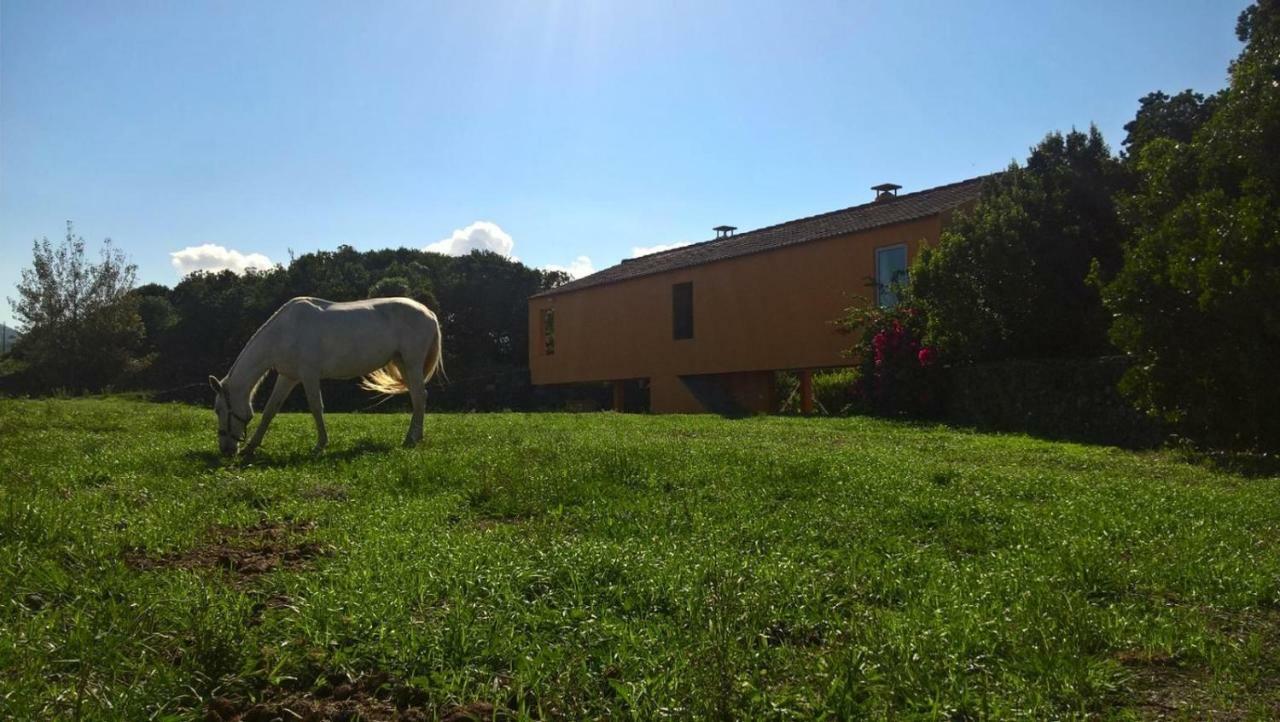 Quinta Da Falesia - Casa Amarela Ponta Delgada Zewnętrze zdjęcie