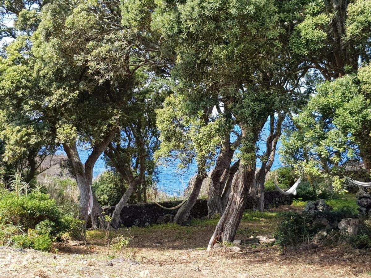 Quinta Da Falesia - Casa Amarela Ponta Delgada Zewnętrze zdjęcie