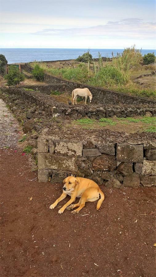 Quinta Da Falesia - Casa Amarela Ponta Delgada Zewnętrze zdjęcie